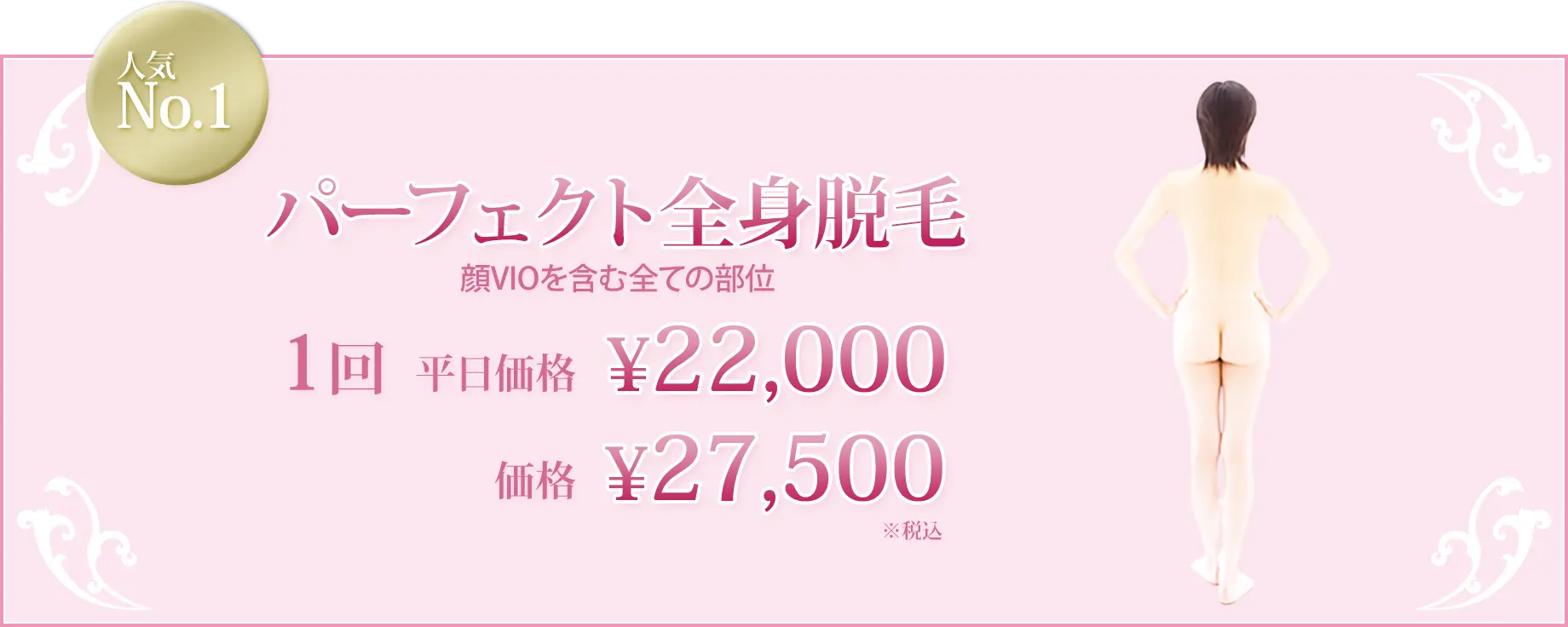パーフェクト全身脱毛 顔、VIOを含む全ての部位