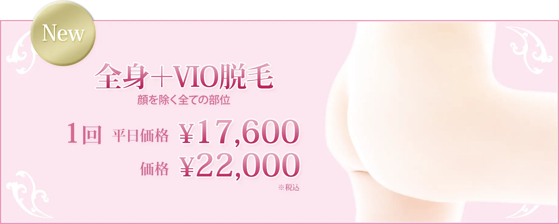 全身＋VIO脱毛 顔を除く全ての部位