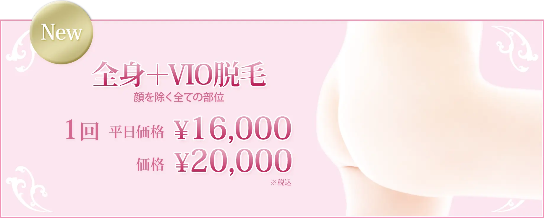 全身＋VIO脱毛 顔を除く全ての部位